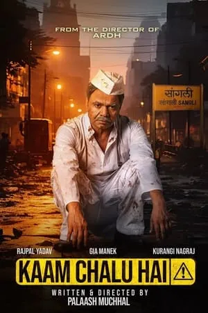 Download Kaam Chalu Hai 2024 Hindi Full Movie WEB-DL 480p 720p 1080p Filmyhunk